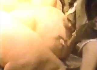 Pleasure with a bunch of zoophilic countryfolk