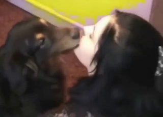 Brunette wants her dog to fuck her mouth