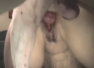 Mature and sexy-looking bitch takes DOG dick