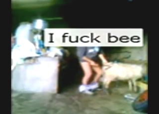 Poor quality video showing a big dick sheep fucker