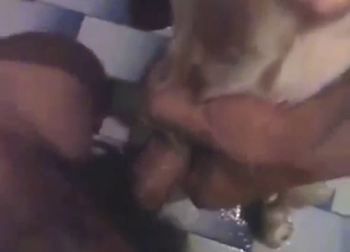 Агрессивный зоофил трахается с извращенцем