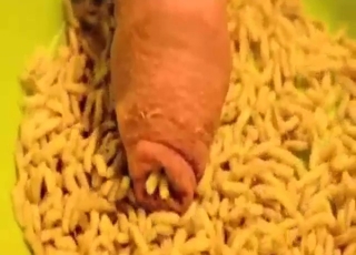 Ακόμα και το σεξ σε ζωολογικό κήπο μπορεί να γίνει αρκετά αηδιαστικό με σκουλήκια