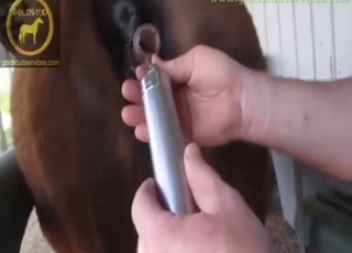 Deep insertion zoo sex with vaginal cavities