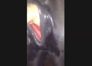 Horny zoophile fisting a mare's hot hole here