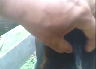 Zoo XXX with guy who outs himself as beast fucker