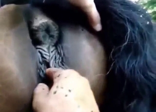 Juicy animal getting fucked by a horny dude