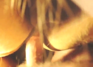 Wet-pussied mare shares its lust with him