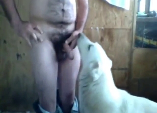 Zoo XXX shows a fat dude teasing his doggo