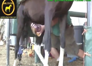 Nice line-up of hot action with crazy HJs here