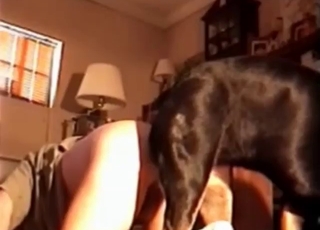 Black dog does some damage to that hot pussy