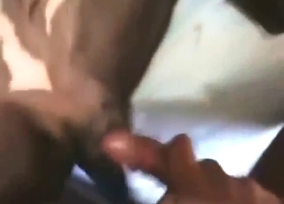 Good dog gets to service two dudes all at once