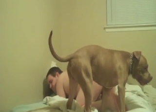 No censorship for a guy who fucks a do hard