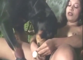 Hot-looking lady is going to fuck a dog outside