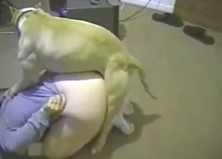 Her curves are immense, she loves doggystyle