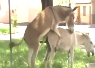 इसके लिए कौन इतना पैसा नहीं देगा