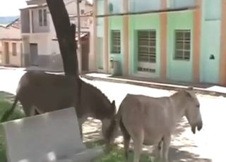 Who wouldn't pay some serious dosh for this