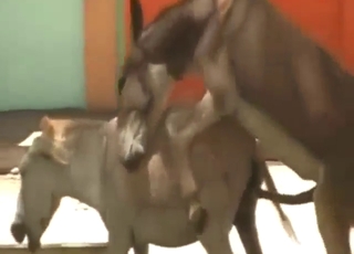 Bunun için ciddi miktarda para ödemeyi kim istemez ki?