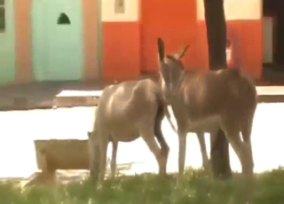 Who wouldn't pay some serious dosh for this