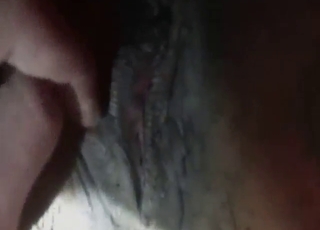 Horse featured in zoo XXX with real hard sex