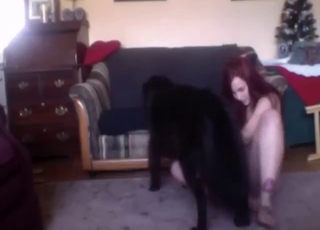 Zoophile porn movie with a horny lady who cums