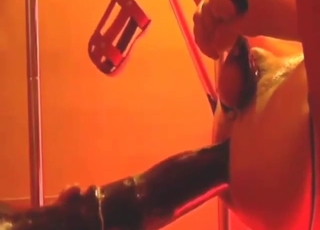 Fucked by a horse cock to get that ass right off