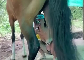 Hispanic zoo porn showing a brunette vs stallion