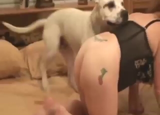 Dog dick makes this pussy way too fucking wet
