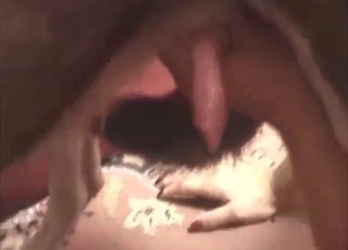 Seksi esmer bir canavarla harika bir hayvanat bahçesi sikişi