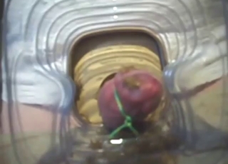 His dick will go through a lot in this taboo vid