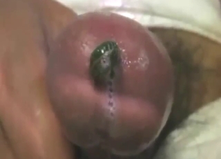 Urethra entrance from a sexy-looking leech