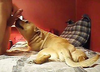 Doggy gives my husband a very passionate blowjob