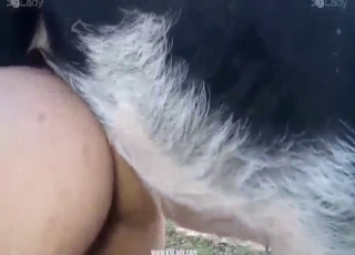 Tits covered, pussy exposed, sexy pig inside