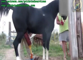 That stallion's dangling dick is a masterpiece