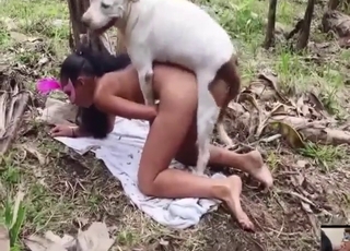 Appealing women taking turns with hot dogs