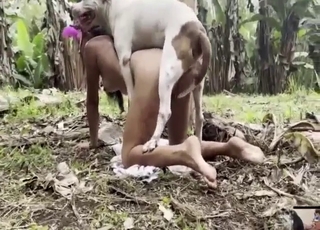 Attraktive Frauen, die sich abwechselnd Hotdogs teilen