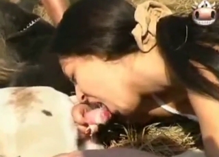 اچھی نظر آنے والی خواتین کتے کے ساتھ سخت جنسی تعلقات سے لطف اندوز ہوتی ہیں۔