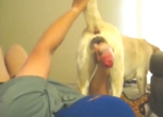 Hot fellatio for a beast that needs hot oral