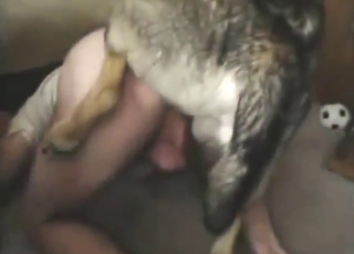 Good-looking dog is going to fuck that asshole