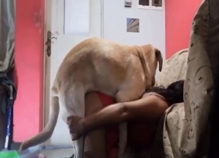 Bestiality porn: an assy brunette in red, her dog