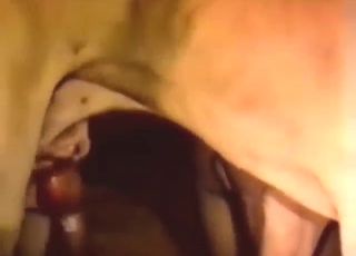 Hard fuck scene with a latex-wearing hottie