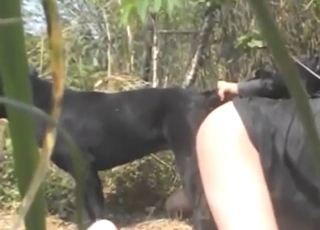 只要有男人在，动物园色情片看起来就很好看。