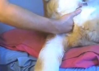 Dog fisting anal fuck with a horned-up dude
