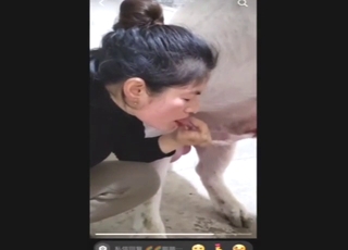 Pig from China fucking this brunette's wet vag