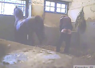 Gay stallion is eyeing this dude's sexy booty