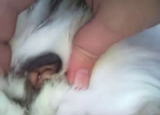 Snowy day fingering session with a sexy mutt