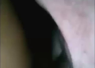 Pig fuck movie with a guy who wants that hole