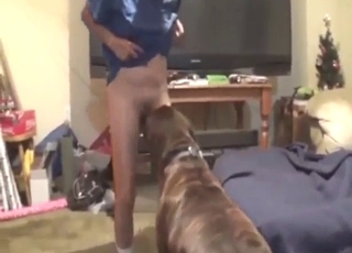 Slutty zoophile with dark hair takes dog dick