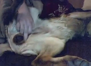 Casual fingering session with the dog MOANING