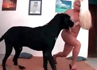 Intense hound is having sexual fun with a lovely blonde