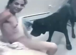 Impressive bestiality porn with a dog gaping her